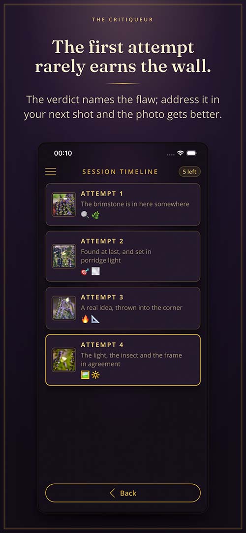 Session timeline comparing several attempts at the same subject